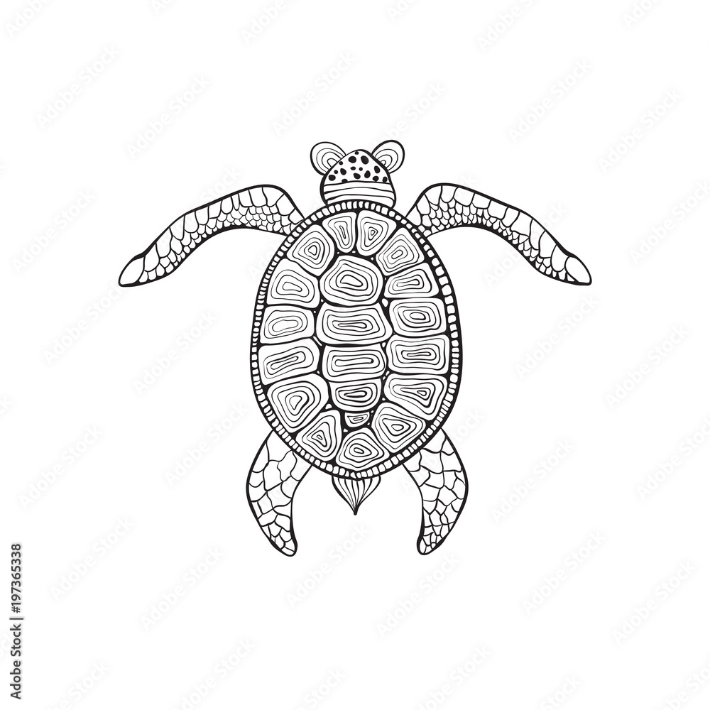 Fototapeta premium Vector Turtle