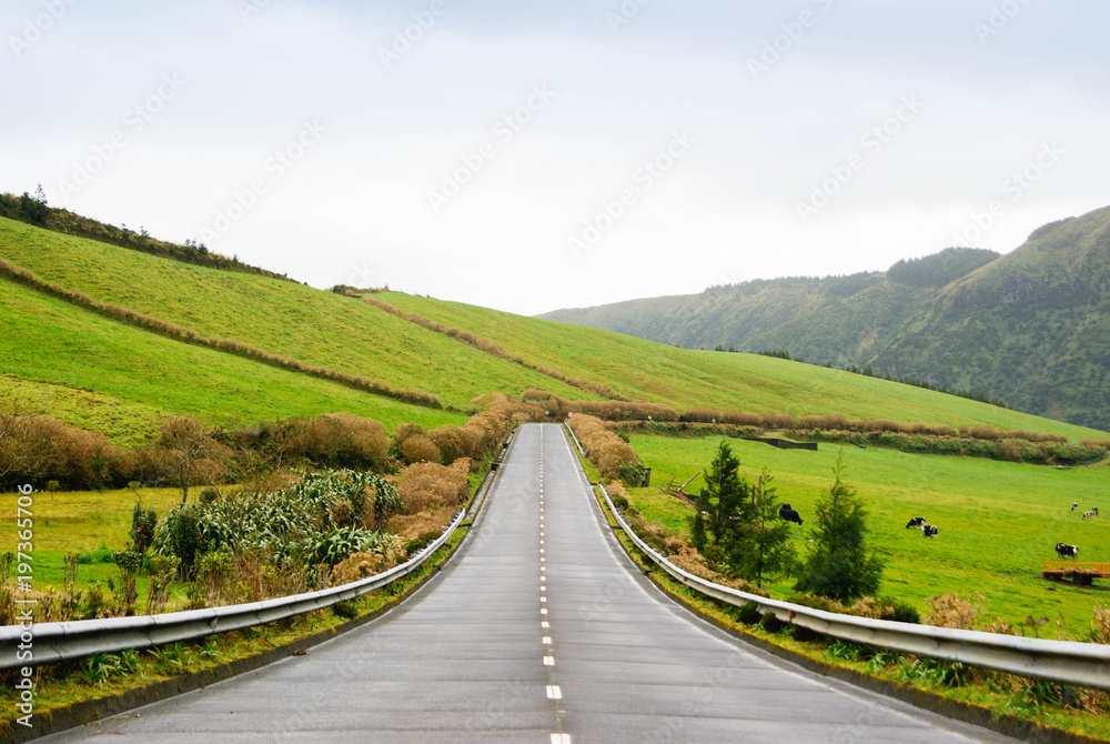 Road between a green valley in San Miguel island, Azores