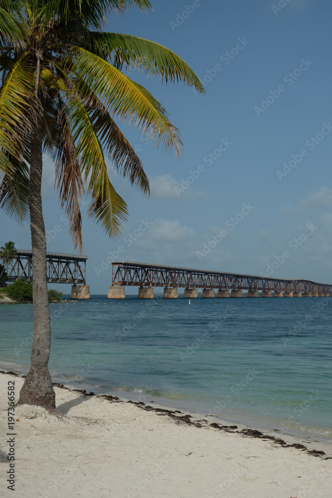 Bahia Honda Flagler Bridge beach and palm trees