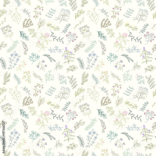 Seamless pattern of flowers, herbs and leaves