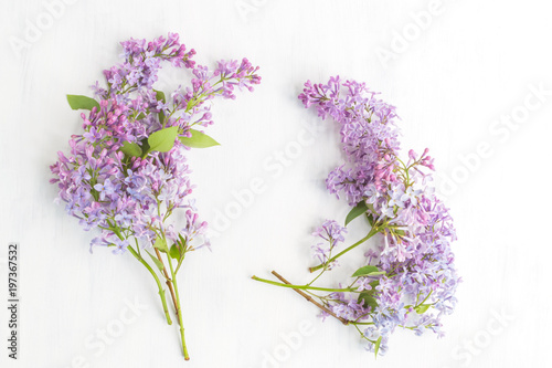 Fototapeta Naklejka Na Ścianę i Meble -  Lilac branches on a light background