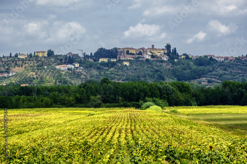 Summer landscape near Volterra  Tuscany