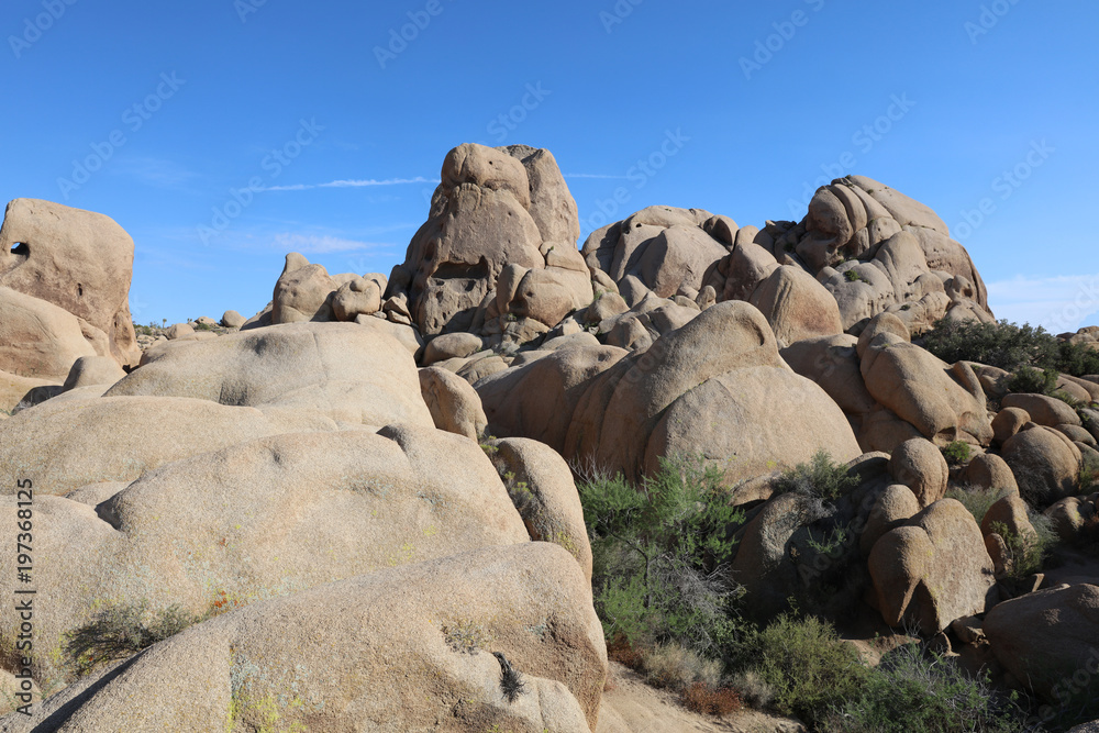 Skull Rock in Joshua Tree National Park. California. USA Skull Rock in Joshua Tree National Park. California. USA