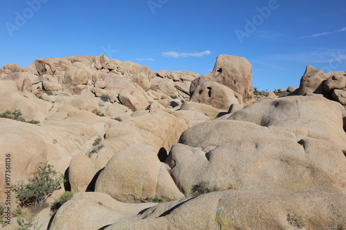 Skull Rock in Joshua Tree National Park. California. USA