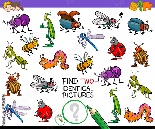find two identical cartoon insects game for kids