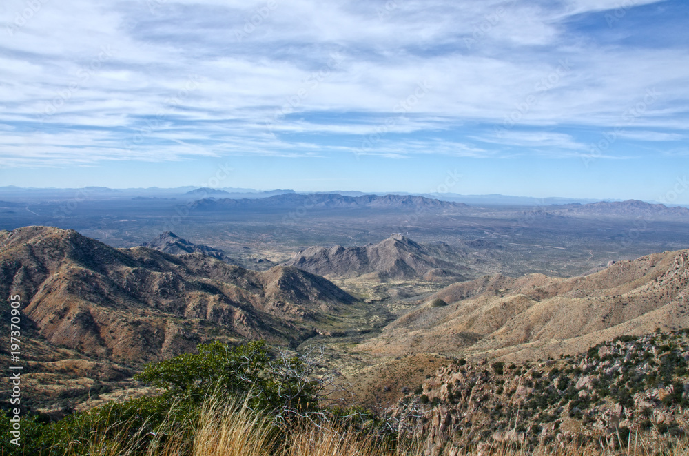 Quinlan Mountains and Sonoran Desert
