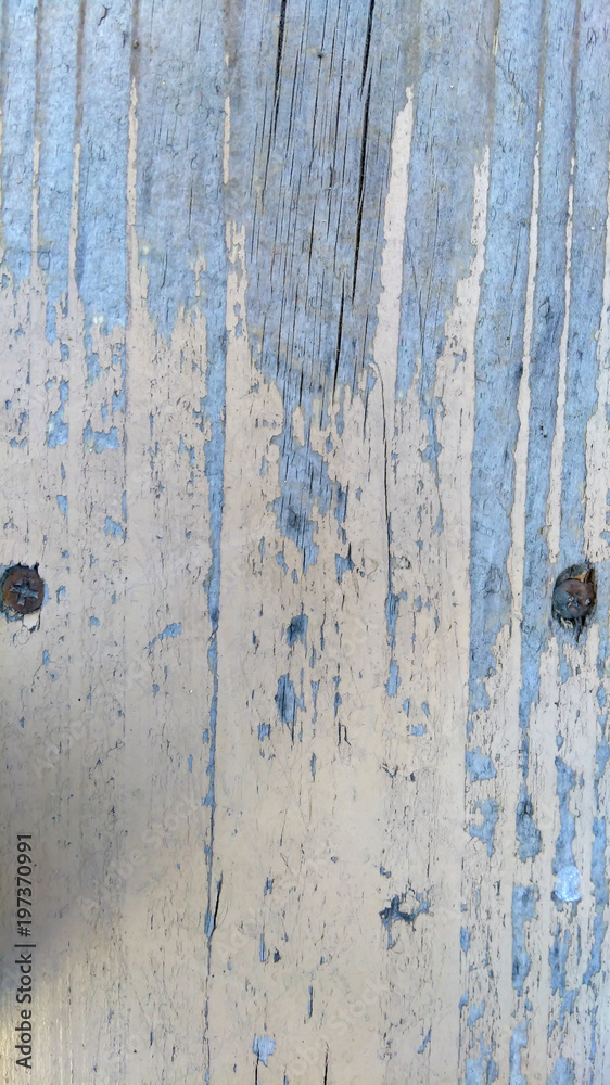 Wood Texture Colored Wood Texture Colored