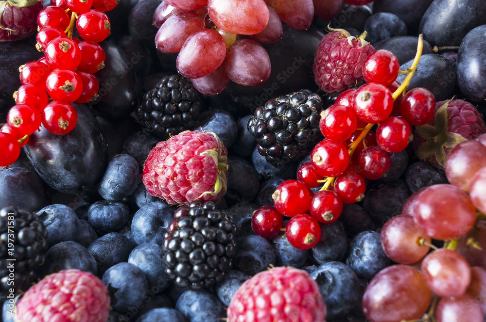 Ripe blackberries, blueberries, raspberries, red currants, grapes and plums on a white background. Mix berries and fruits. Top view. Background berries. Various fresh summer fruits. Ripe blackberries, blueberries, raspberries, red currants, grapes and plums on a white background. Mix berries and fruits. Top view. Background berries. Various fresh summer fruits.