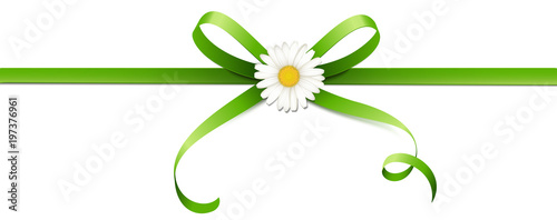 Grüne Schleife mit Margeriten Blüte - Horizontal 