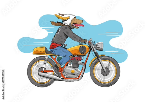 Dog is riding a classic motorcycle. Hand drawn vector illustration design concept.