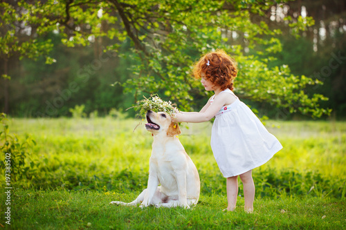 LIttle curly girl playing with big dog in summet day on nature background photo