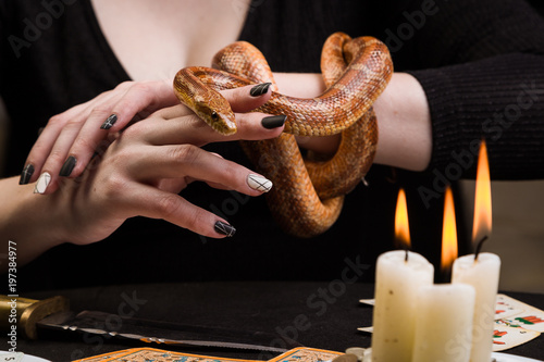 A snake in front of three candles in a witch