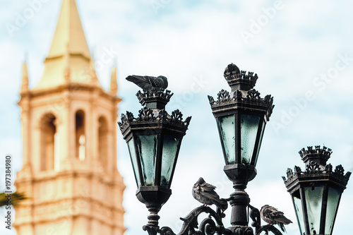 Close-up of lamppost with pigeons and Arequipa Cathedral (Peru) in the background © simonmayer