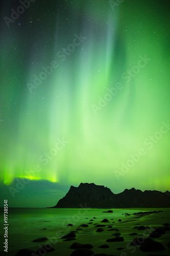 North lights in night sky