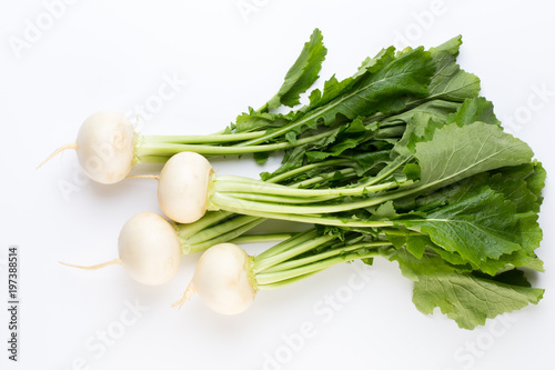 Fresh white round turnip radish on white background.