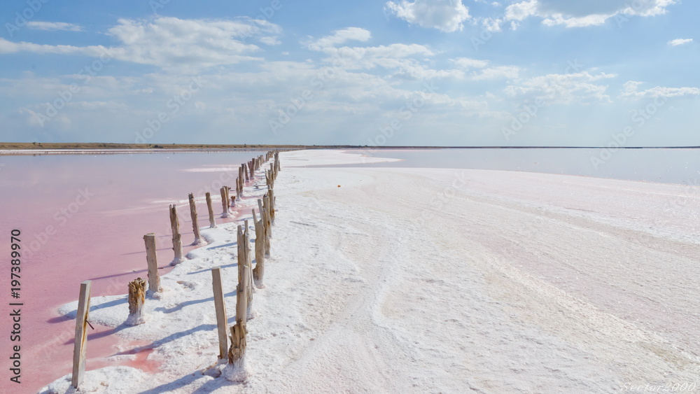 Fototapeta premium Słone różowe jezioro