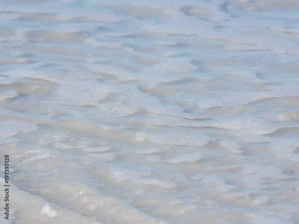 A Stingray (sandray) (Myliobatoidei) washed up on a beach on the Gulf of Mexico at St. Pete Beach, Florida. A Stingray (sandray) (Myliobatoidei) washed up on a beach on the Gulf of Mexico at St. Pete Beach, Florida.
