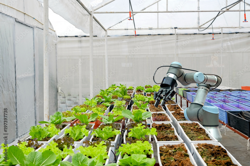 Modern organic farmhouse installed robotic for work  - obrazy, fototapety, plakaty 