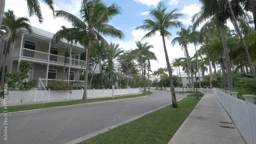 Palm trees and houses on a street Palm trees and houses on a street