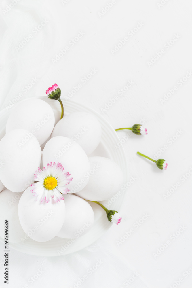 Spring Easter background with white eggs Daisy flowers Spring Easter background with white eggs Daisy flowers