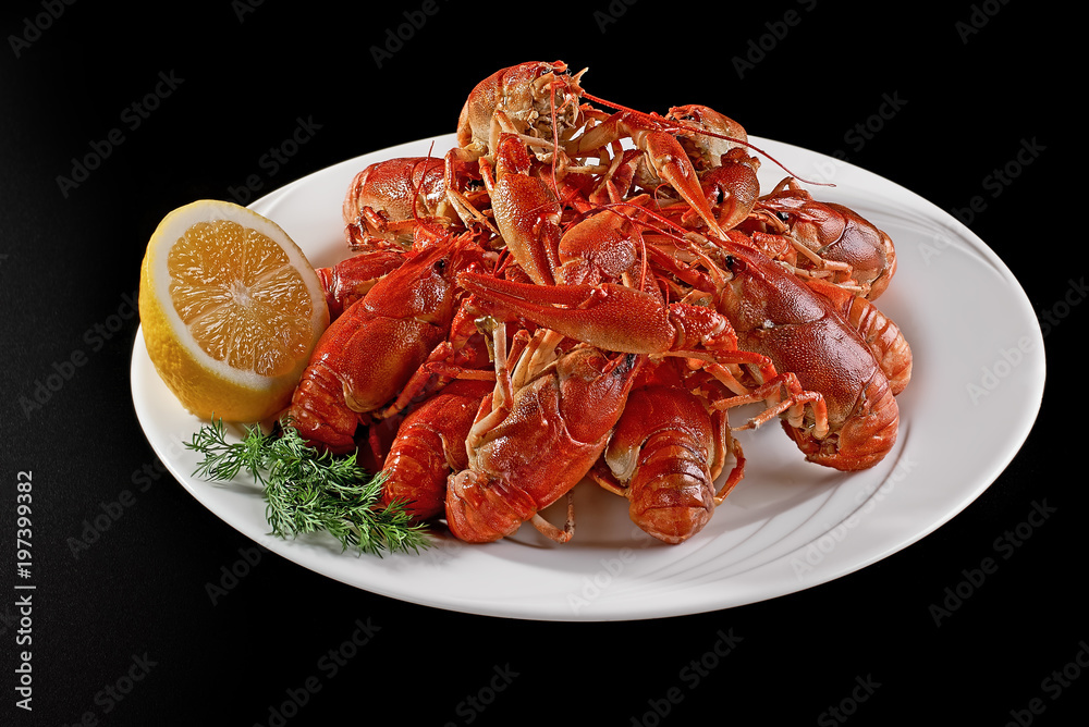 Red boiled crayfish to beer on a black background, food concept. copy space.
