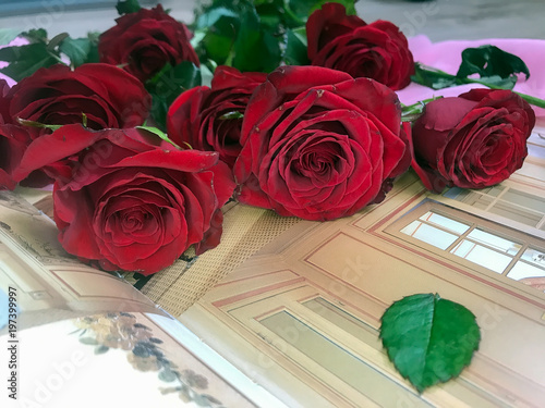 beautiful red roses photo