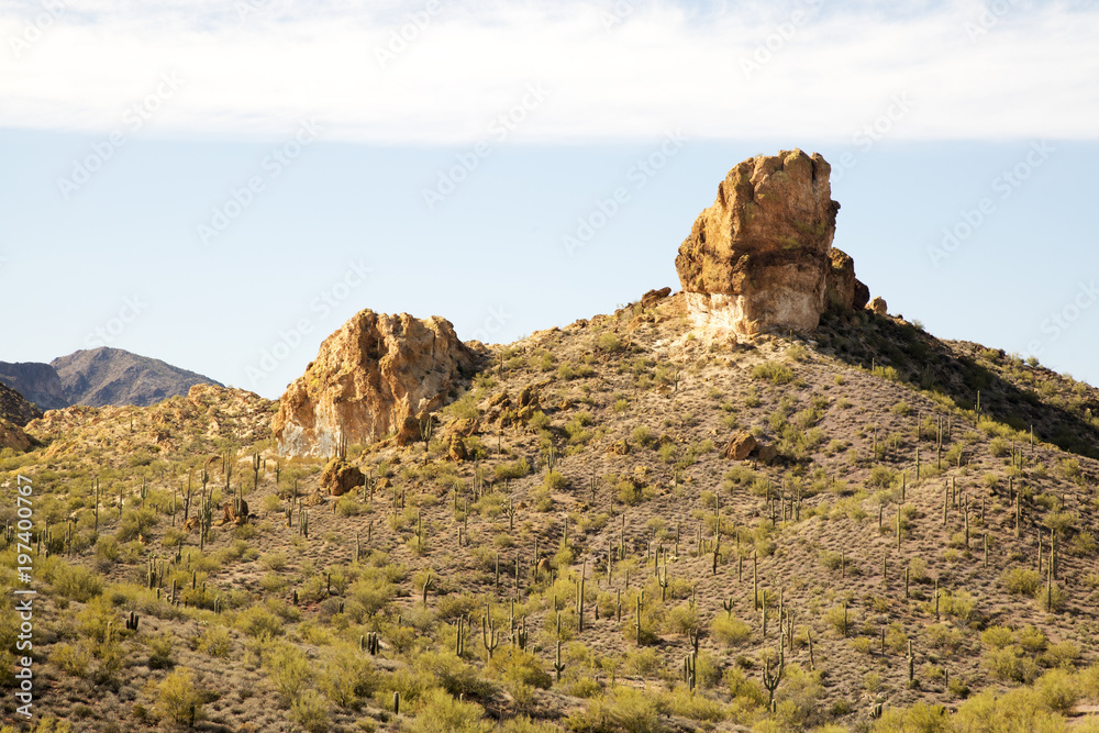 View of the Sonoran Desert
