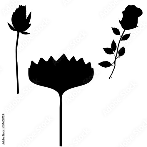 flores