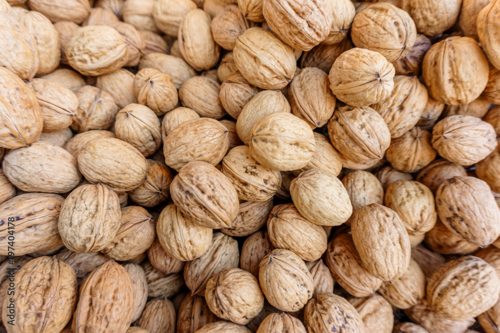 lots of european walnuts in peel, natural food background lots of european walnuts in peel, natural food background
