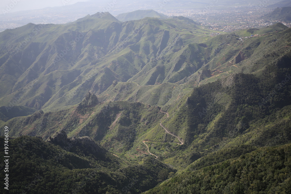 Fototapeta premium Teneriffa Natur 32