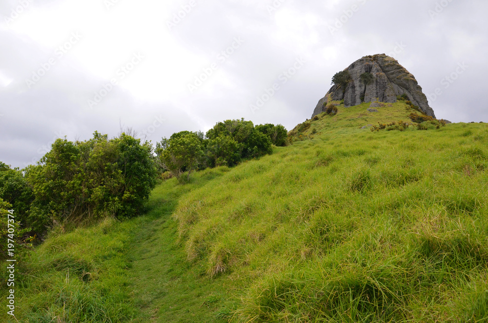 Hiking on St Paul’s Rock scenic reserve in New Zealand's north island
