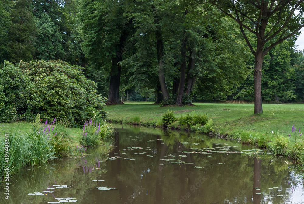 pejzaż wiosenny, letni park, staw, zielony las pejzaż wiosenny, letni park, staw, zielony las
