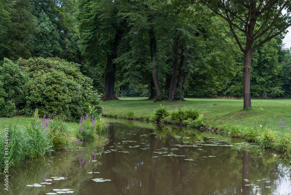 pejzaż wiosenny, letni park, staw, zielony las