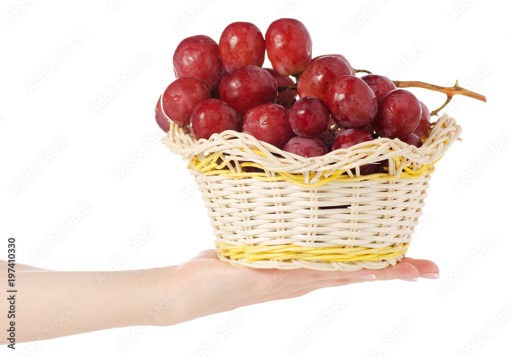 Pink grapes in a basket in hand Pink grapes in a basket in hand