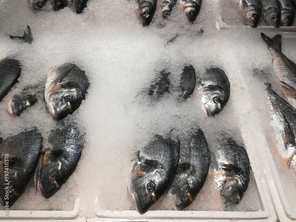 Obraz premium Freshly frozen dorado fish on store shelves