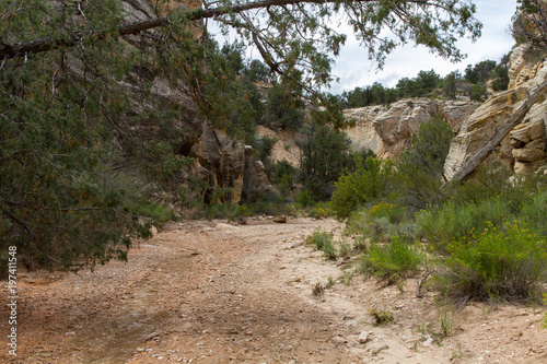 Willis Creek Slot Canyon 16