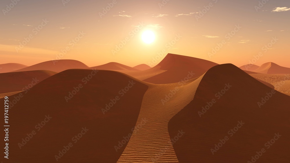 Sunrise in the sandy desert,
