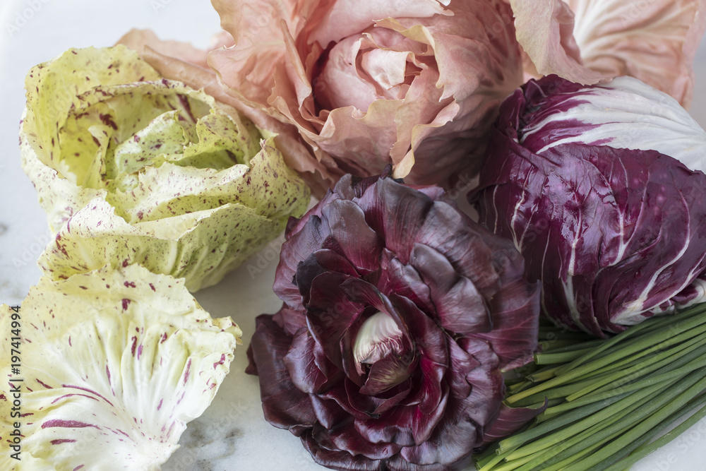 Obraz premium Colorful Radicchio heads in pink, green and purple with a bunch of chives