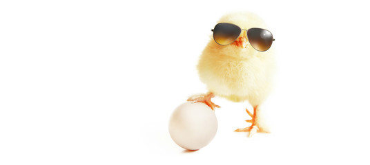 Ostern Küken Motiv
