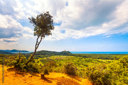 Panoramic view of Maremma Regional or Uccellina Park. Tuscany  Italy.