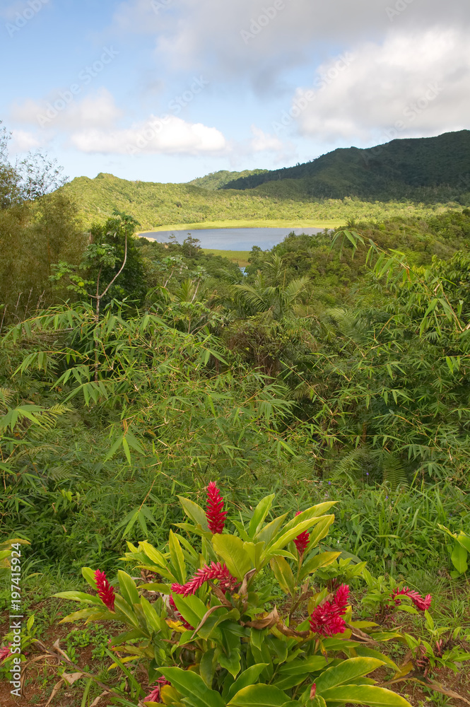 Grenada island - Grand Etang National Park - Grand Etang Lake