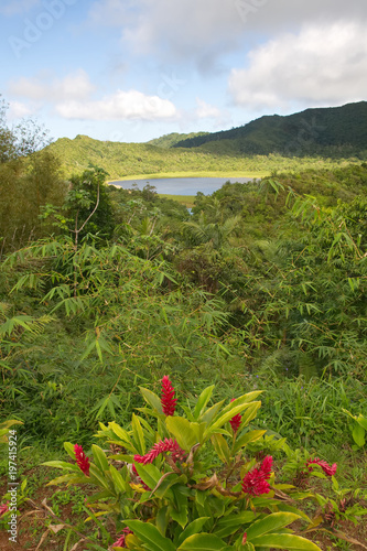 Obraz na płótnie Grenada island - Grand Etang National Park - Grand Etang Lake w salonie