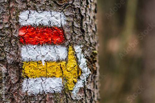 Tourist color sign on the tree with an arrow