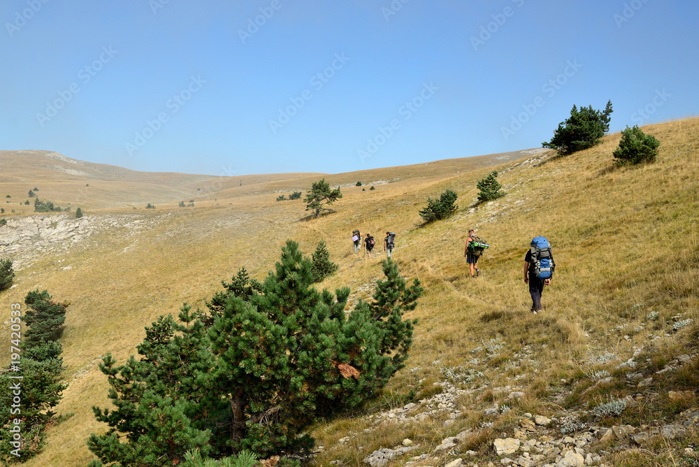 Tourists go to the mountain in the afternoon in the summer