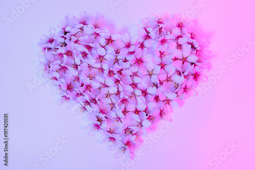 Heart of white almond flowers, tinted in pink