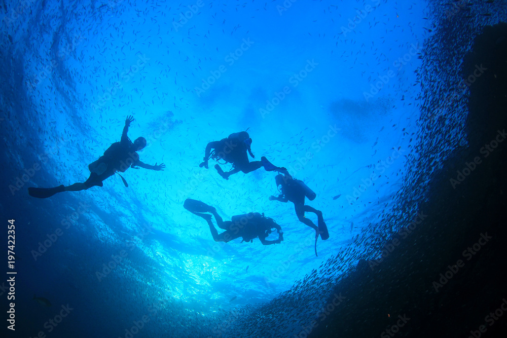 Obraz premium Scuba dive