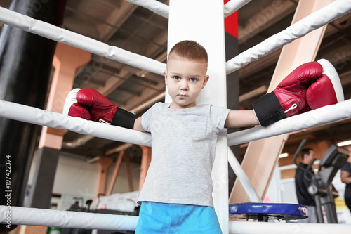 Little boy in boxing gloves...