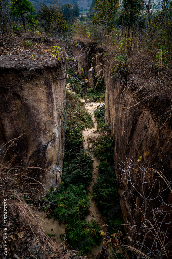 Fototapeta premium ravine trail forest gorge