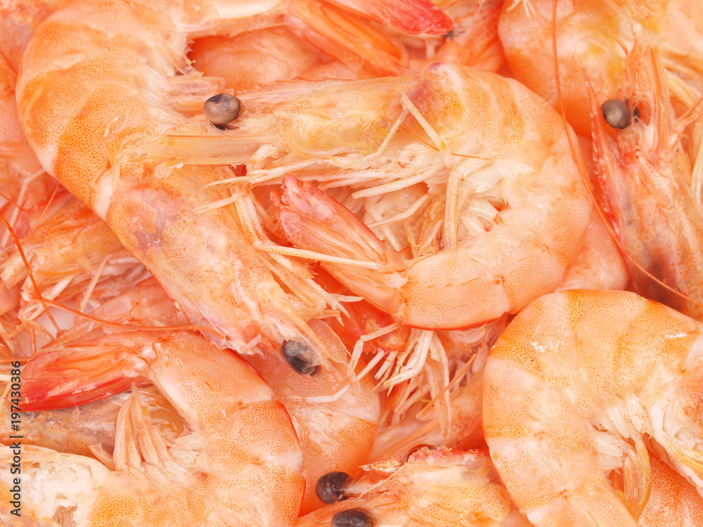 Fresh shrimps Fresh shrimps