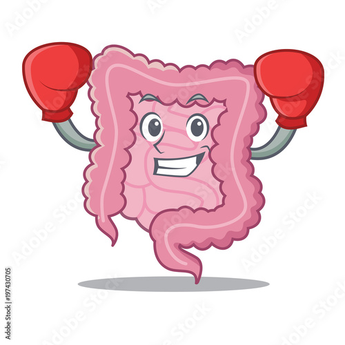 Boxing intestine character cartoon style